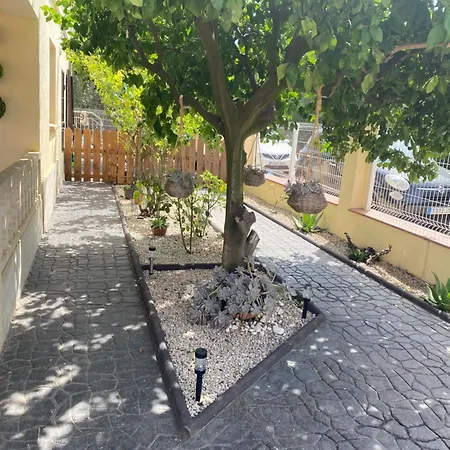 Les Oliveres De L'emporda